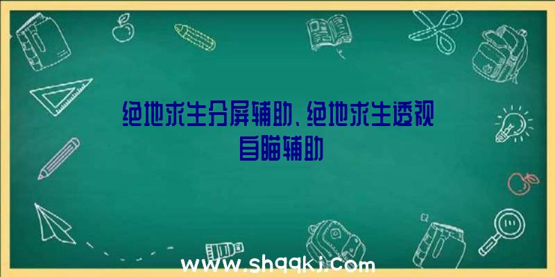 绝地求生分屏辅助、绝地求生透视